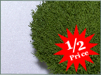 Price