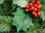 Holly garland natural green with red berries